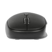 Targus AMB582GL Mid Size Mouse - Bluetooth/Radio Frequency - Optical - 3 Button(s) - Black - 1