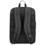 Targus CityGear, Backpack, 39.6 cm (15.6"), Shoulder strap, 770 g